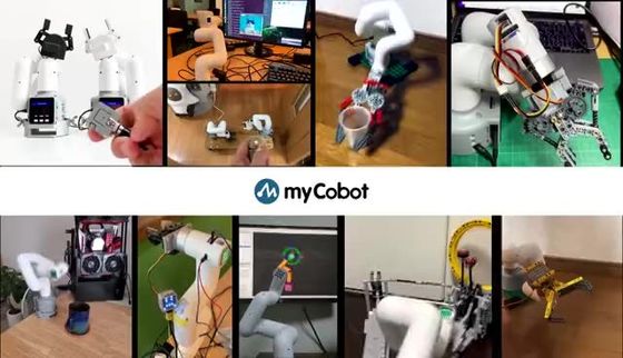 Cobot China Myrobot Elephant Robot Light weight   Palyload 250g reach 280mm With Low Cost price Easy Program As Robotic Arm